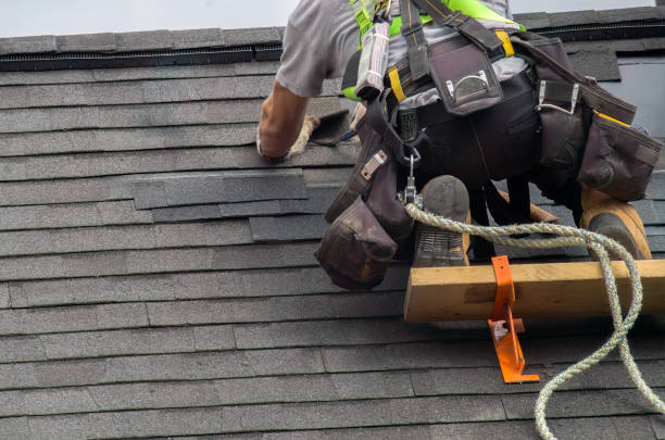 Roof Coating Services in Warroad, MN